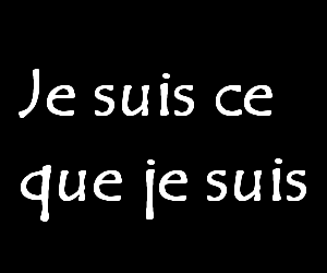 faut me prendre comme je suis